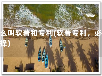 什么叫软著和专利(软著专利，必要选择)