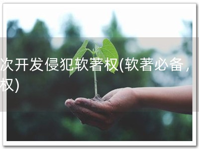 二次开发侵犯软著权(软著必备，免侵权)