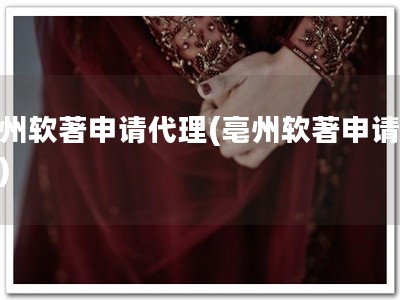 亳州软著申请代理(亳州软著申请帮忙)