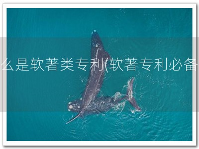 什么是软著类专利(软著专利必备！)