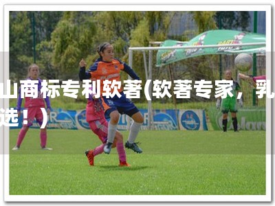 乳山商标专利软著(软著专家，乳商首选！)