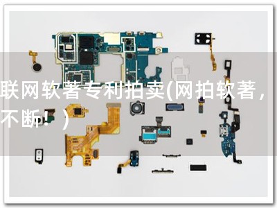 互联网软著专利拍卖(网拍软著，惊喜不断！)