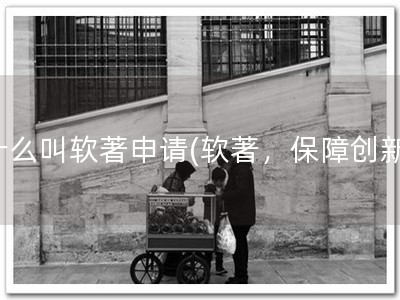 什么叫软著申请(软著，保障创新)