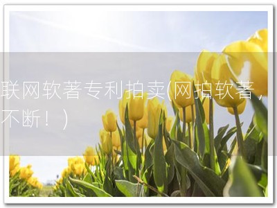互联网软著专利拍卖(网拍软著，惊喜不断！)