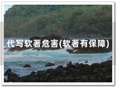 代写软著危害(软著有保障)