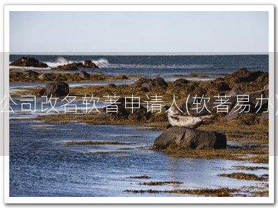 公司改名软著申请人(软著易办)