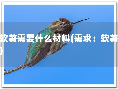 做软著需要什么材料(需求：软著材料)