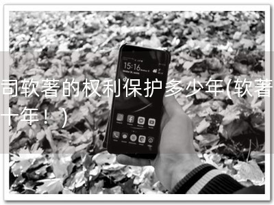 公司软著的权利保护多少年(软著保护十年！)