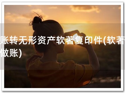 做账转无形资产软著复印件(软著帮助做账)
