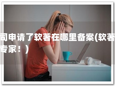 公司申请了软著在哪里备案(软著备案专家！)