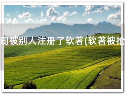 公司被别人注册了软著(软著被抢！)