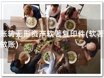 做账转无形资产软著复印件(软著帮助做账)