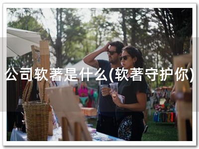 公司软著是什么(软著守护你)