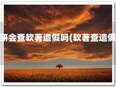 保研会查软著造假吗(软著查造假？)
