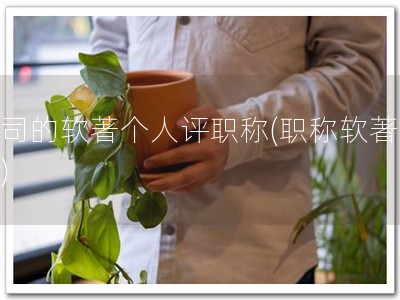 公司的软著个人评职称(职称软著加分)