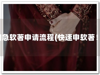 加急软著申请流程(快速申软著！)