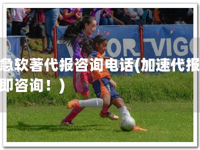 加急软著代报咨询电话(加速代报，立即咨询！)