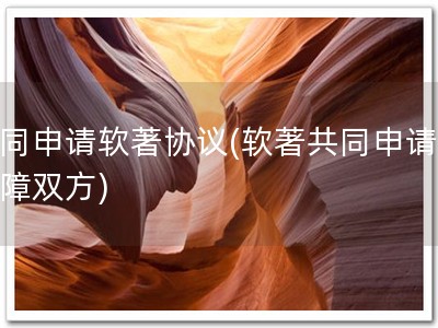 共同申请软著协议(软著共同申请，保障双方)
