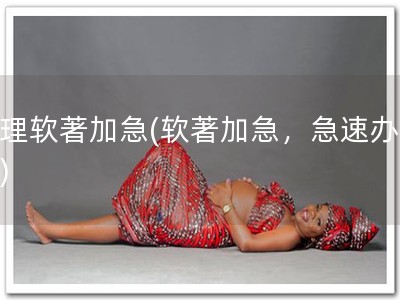 办理软著加急(软著加急，急速办理！)