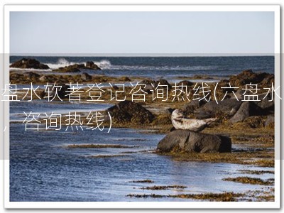 六盘水软著登记咨询热线(六盘水软著，咨询热线)