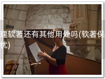办理软著还有其他用处吗(软著保你无忧)