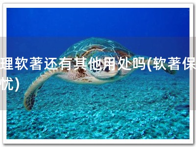 办理软著还有其他用处吗(软著保你无忧)