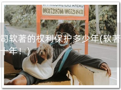 公司软著的权利保护多少年(软著保护十年！)