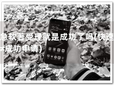 加急软著受理就是成功了吗(快速受理≠成功申请)