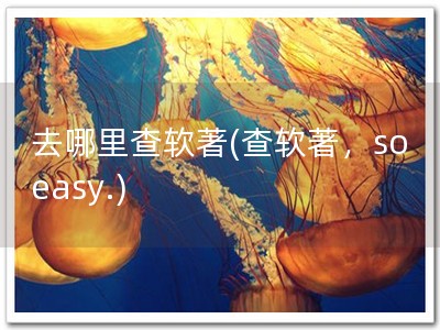去哪里查软著(查软著，so easy.)