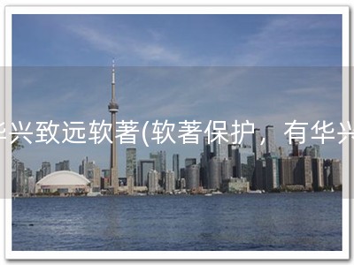 华兴致远软著(软著保护，有华兴)
