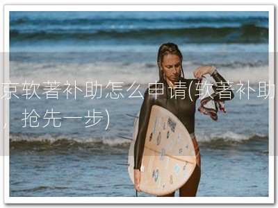 南京软著补助怎么申请(软著补助申请，抢先一步)