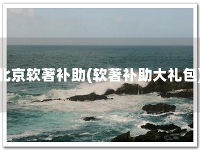 北京软著补助(软著补助大礼包)