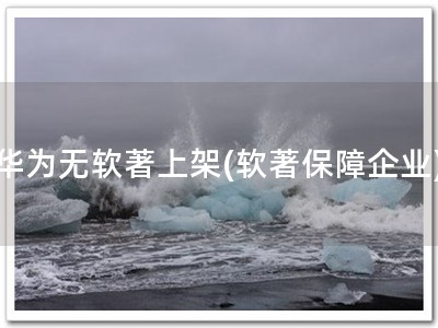 华为无软著上架(软著保障企业)