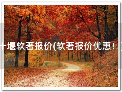 十堰软著报价(软著报价优惠！)