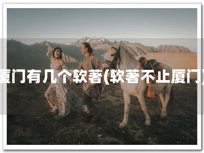 厦门有几个软著(软著不止厦门)