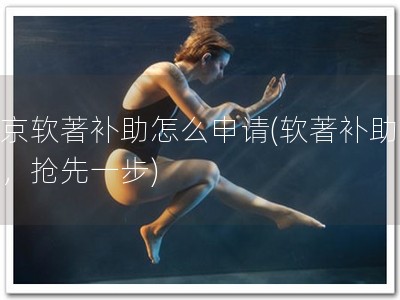 南京软著补助怎么申请(软著补助申请，抢先一步)