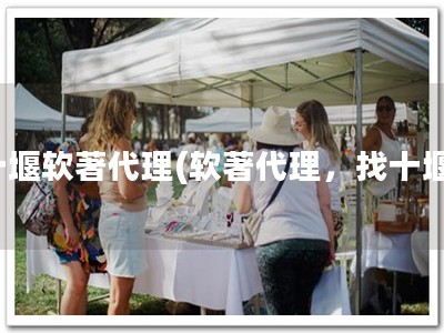 十堰软著代理(软著代理，找十堰)