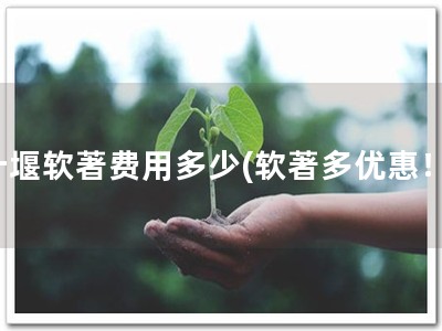 十堰软著费用多少(软著多优惠！)