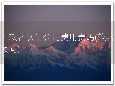 华中软著认证公司费用贵吗(软著认证顾问)