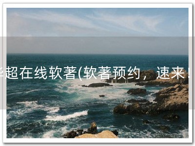华超在线软著(软著预约，速来！)