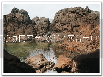 医疗协同平台软著(“医著宝典”)