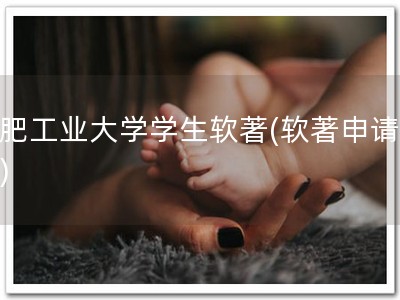 合肥工业大学学生软著(软著申请必备)
