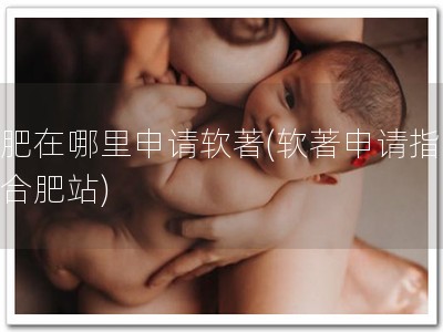 合肥在哪里申请软著(软著申请指南：合肥站)