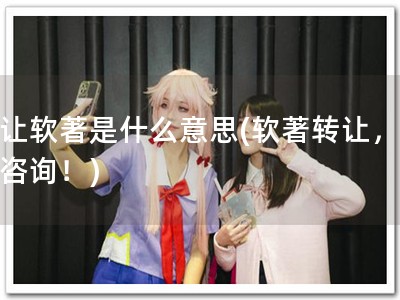 受让软著是什么意思(软著转让，速来咨询！)