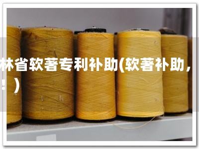 吉林省软著专利补助(软著补助，速抢！)