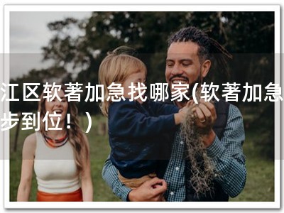 吴江区软著加急找哪家(软著加急，一步到位！)