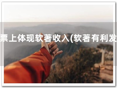 发票上体现软著收入(软著有利发票)