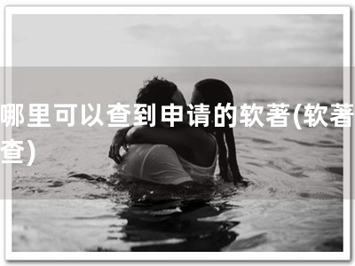 在哪里可以查到申请的软著(软著一键查)