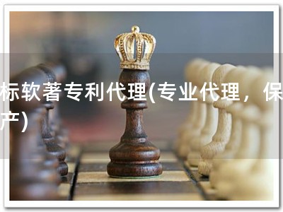 商标软著专利代理(专业代理，保障知产)