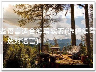 哪些语言适合编写软著(选择编写软著，选对语言)